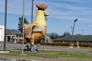Big chicken by roadway.