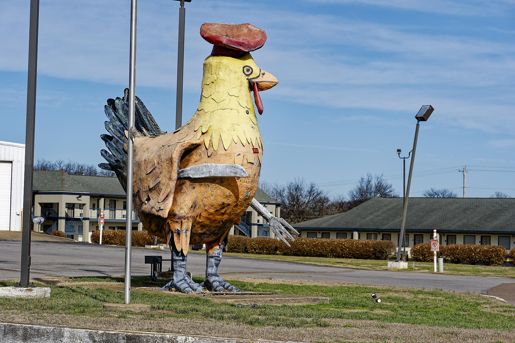 Big chicken by roadway.