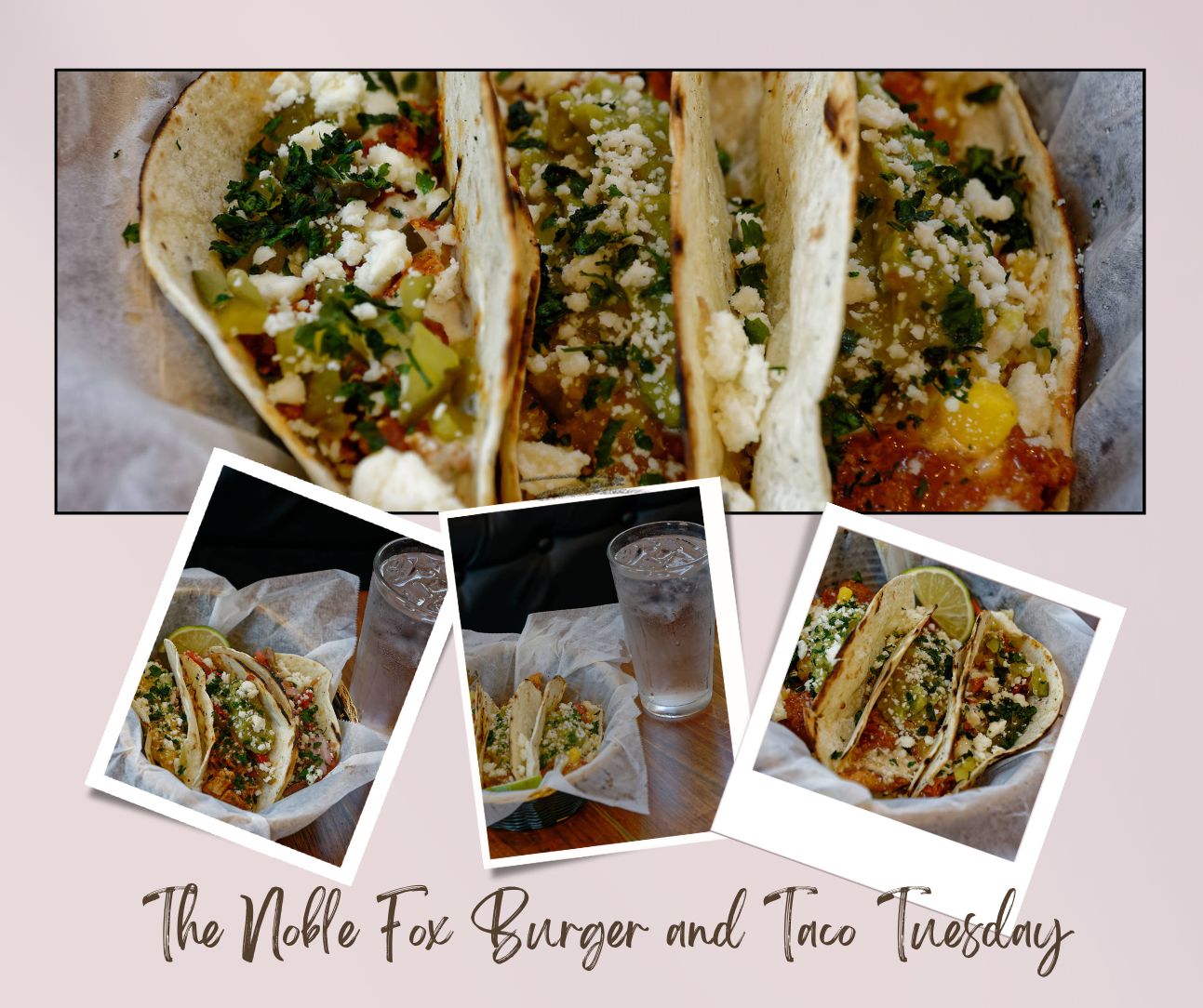 The Noble Fox Taco Tuesday