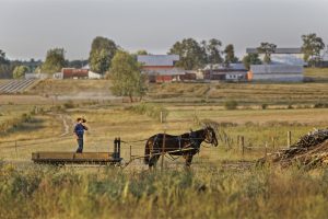 Amish boy in front of houses.