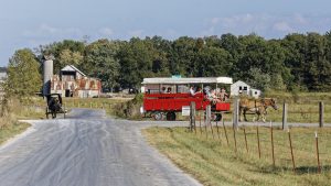 amish of ethridge wagon tour with horse and buggy.