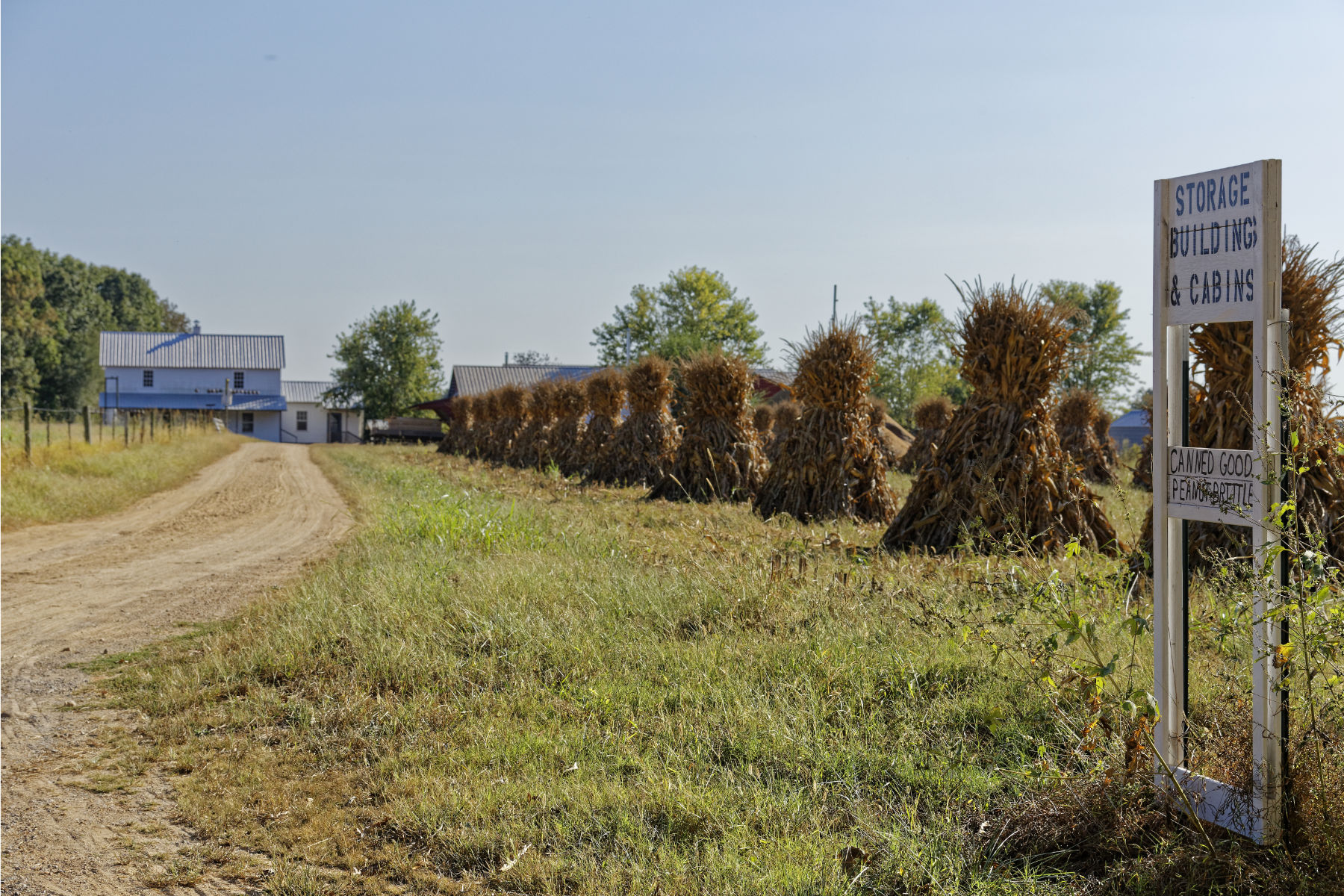 Amish sign by road.